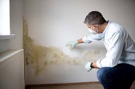 Best Water Damage & Mold Remediation  in South Burlington, VT